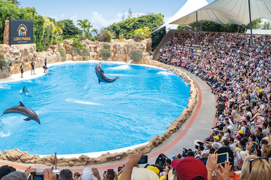 Loro Parque Residente