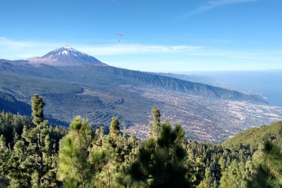 Teide – La Orotava