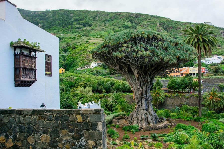 Teide, Masca, Icod y Garachico